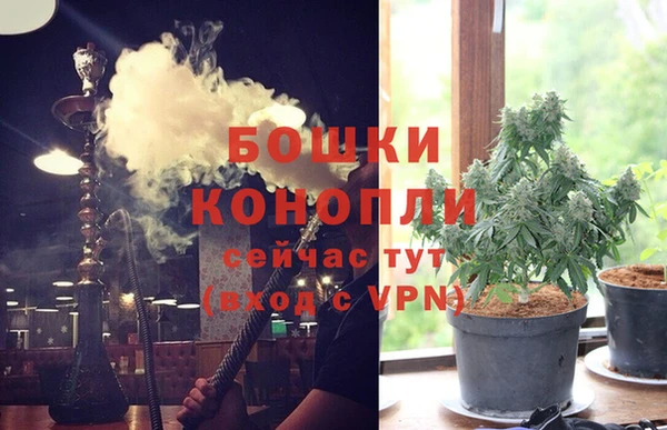 MESCALINE Аркадак