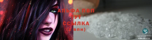 амф Арсеньев