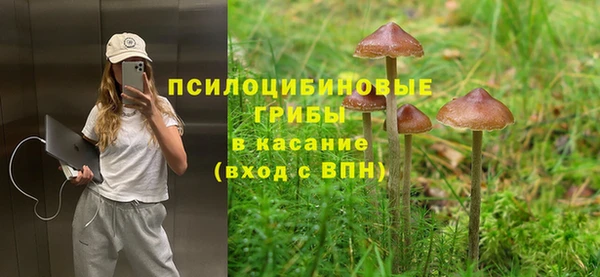 мет Алексин