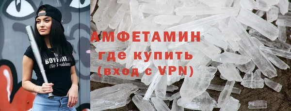 мет Алексин