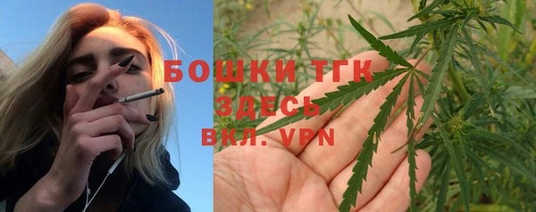 мет Алексин