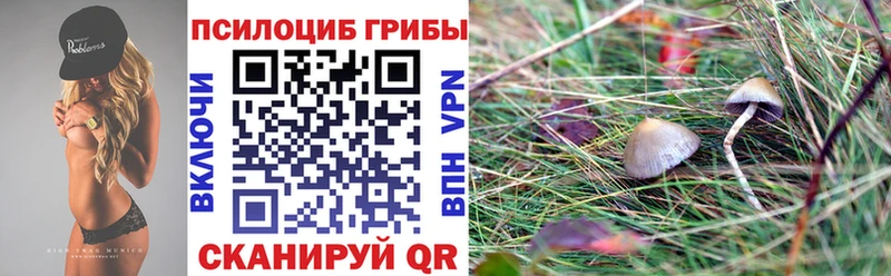 Галлюциногенные грибы GOLDEN TEACHER  цены наркотик  Жирновск 